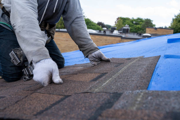 Best Green or Eco-Friendly Roofing Solutions  in Red Bay, AL